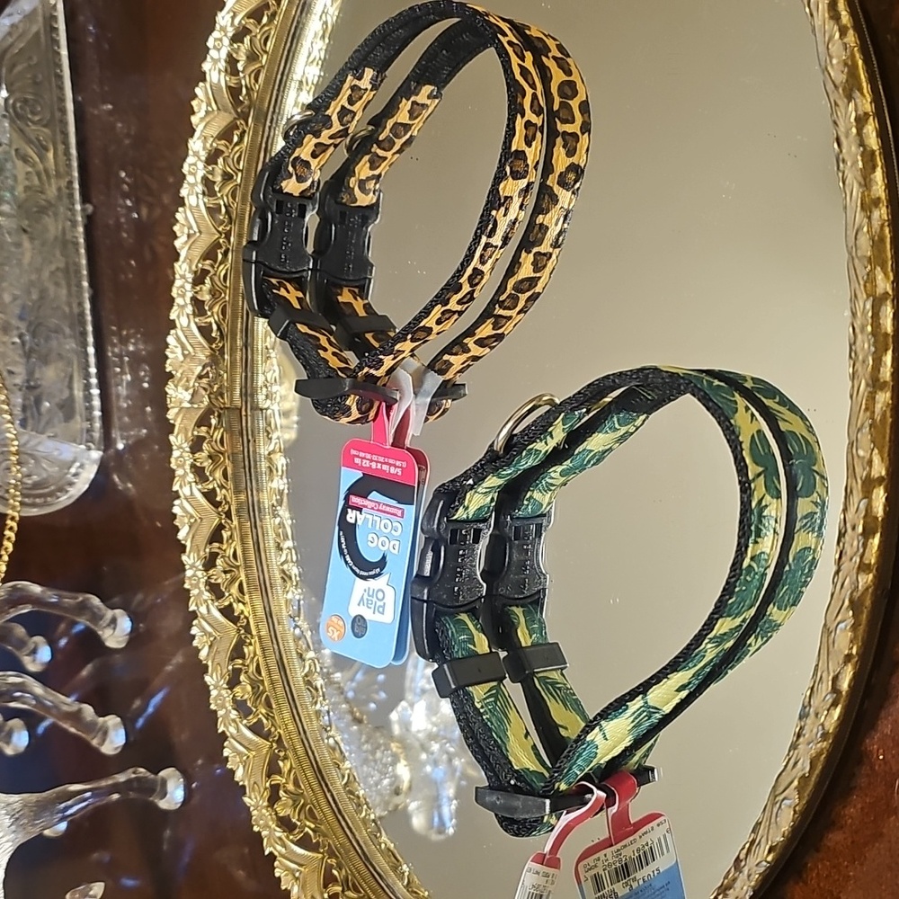 Play On DOG COLLAR 🐕 - Picture 5 of 16